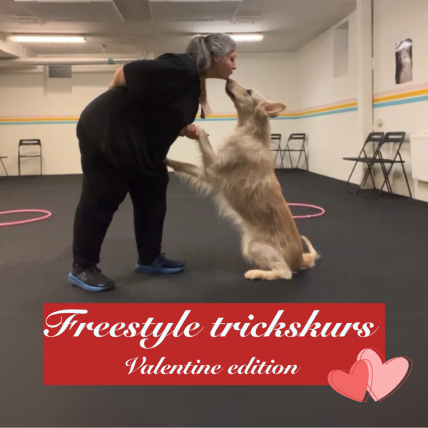 2025.01.19 Freestyle trickskurs - valentine edition - kl 17.00