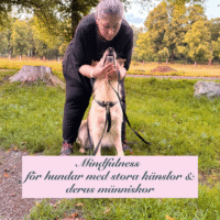 2025.10.01 Mindfulness för hundar med stora känslor & deras människor (Online)